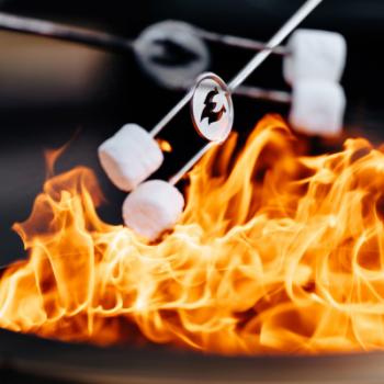 Solo Stove Grillspieße